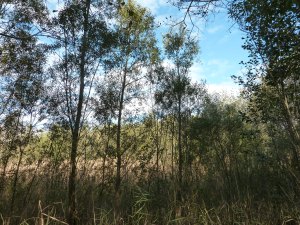 Foto: Naturschutzanwaltschaft Vorarlberg