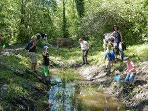 Kleintierjagd bei den Tümpeln im Rheinholz