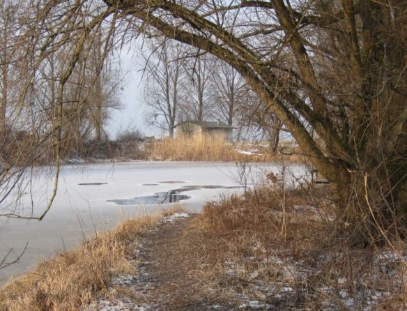 nahe der Bregenzerach-Mündung in Hard