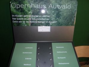 Wer ist der lauteste Sänger im Auwald?