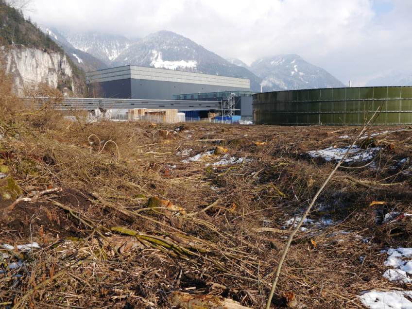 Rodung Rexam Foto: K Lins