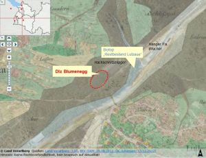 Rodung für das neue Dienstleistungszentrum in Thüringen. Nach der Urmappe 1857 (Vorarlberg Atlas) zeigt der helle Bereich den natürlichen Verlauf der Lutz und der braune Bereich den Auwald- und Überflutungsraum. Im Hintergrund scheint das Luftbild aus 2009 durch (siehe z.B. Hangar Fa. Wucher).