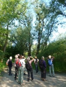 Exkursionsgruppe lauscht dem Vogelgesang.