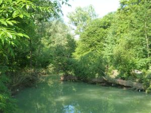 Hochwasser an der Leiblach schafft neue Strukturen.