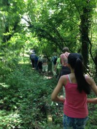 Spaziergang Auwald Bregenzerachmündung