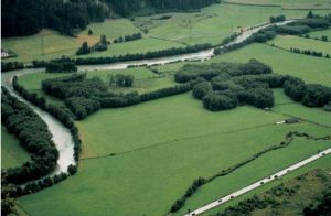 Biotop Ahrauen in Südtirol (Foto: Abt. Natur und Landschaft, Land Südtirol)