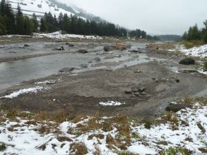 Revitalisierter Mareiter Bach bei Stange