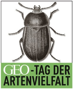 Logo_GEO-Tag_Internet