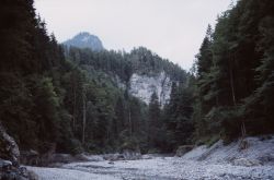 Biotop_10611_Bürser_Schlucht_Bürs